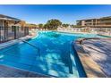 A community pool with clear blue water is surrounded by lounge chairs at 952 Virginia St # 303, Dunedin, FL 34698