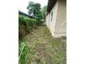 Side yard featuring potential garden space alongside the home's exterior, enclosed by a lush, verdant fence line at 8718 N Brooks St, Tampa, FL 33604