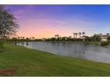 Scenic view of the pond at sunset surrounded by lush greenery, offering a tranquil and serene setting at 2724 Coco Palm Cir, Wesley Chapel, FL 33543
