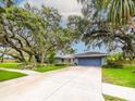 Charming single-story home with mature trees, a well-manicured lawn, and a spacious two-car garage at 3005 Wilton Ln, Valrico, FL 33596