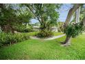 Beautifully landscaped front yard with lush green lawn and mature trees at 1151 Lancer Ln, Tarpon Springs, FL 34689