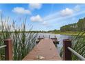 Picturesque wood dock with calm lake backdrop surrounded by nature and clear blue sky at 1827 Hammocks Ave # 1303, Lutz, FL 33549