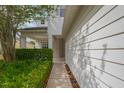 Exterior side view with fresh white siding, neat green hedges, and a quaint walkway at 20109 Bay Cedar Ave, Tampa, FL 33647