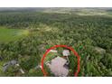 Aerial shot showcases expansive property surrounded by lush greenery with a large private lot at 27511 Hialeah Way, Wesley Chapel, FL 33544