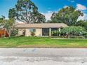 Charming home boasts a well-manicured lawn, mature trees, and a warm, inviting exterior during the day at 6425 S Adelia Ave, Tampa, FL 33616