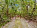 Gated driveway with a star emblem leads to a private, wooded property with plenty of trees and greenery at 19555 Phillips Rd, Brooksville, FL 34604