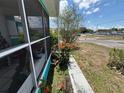 View of street and landscaped yard from cozy, screened-in porch at 2701 W Cherry St, Tampa, FL 33607