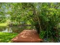 Waterfront dock with lush tree cover, offering a serene spot to enjoy nature at 18914 Geraci Rd, Lutz, FL 33548