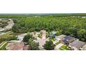 A charming cul-de-sac with well-maintained homes surrounded by mature trees and green spaces at 3305 Hoylake Ct, Land O Lakes, FL 34638
