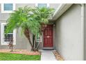 Inviting entryway with a red front door framed by lush tropical palms and attractive landscaping at 30317 Rattana Ct, Wesley Chapel, FL 33545