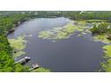 Breathtaking aerial view of a lake showcasing lillypads, docks, and lush surrounding greenery at 4783 School Rd, Land O Lakes, FL 34638