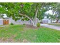 This single Gathering home has a large tree in the front yard at 12372 113Th St, Largo, FL 33778