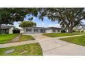Inviting single-story home with a concrete driveway, lush lawn, and mature trees offering shade at 1675 Eden Ct, Clearwater, FL 33756