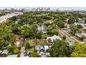 Aerial view of property amidst lush greenery with the cityscape skyline visible in the distance at 502 E Robles St, Tampa, FL 33602
