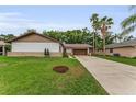 Well-maintained single-story home with a lush lawn, mature trees, and a long driveway at 1558 Cottonwood Ter, Dunedin, FL 34698