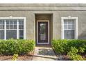 Close-up shot of the front door showing manicured shrubs and nice windows at 31215 Flannery Ct, Wesley Chapel, FL 33543