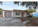 Charming single-story home with a driveway, attached garage, and a mature shade tree in the front yard at 9927 Woodridge Ct, Port Richey, FL 34668