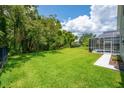 Expansive backyard with lush green grass and mature trees offers plenty of space for outdoor activities at 15309 Palomapark Ln, Lithia, FL 33547