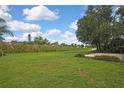 Large, grassy backyard with mature trees and plenty of open space at 1717 Osprey Ln, Lutz, FL 33549