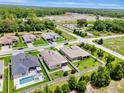 An aerial view of a residential neighborhood featuring manicured lawns, pools, and a serene environment at 19974 Bluebird Meadow Dr, Lutz, FL 33558