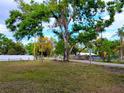 Expansive front yard featuring mature trees and lush green grass, creating a serene and inviting landscape at 4210 Garden Ln, Tampa, FL 33610