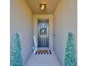 Charming home entrance with a black front door, tasteful decor, and well-lit entryway at 12382 Shining Willow St, Riverview, FL 33579