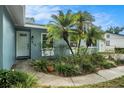 Close-up of a front entrance with nicely manicured landscaping and palm trees at 919 Alpine Dr, Brandon, FL 33510
