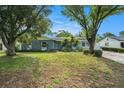 Charming single-story home featuring lush landscaping and mature trees in a well-maintained front yard at 919 Alpine Dr, Brandon, FL 33510