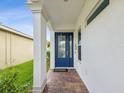 Covered entryway showcases a blue front door with decorative glass and brick flooring at 10669 Cardera Dr, Riverview, FL 33578