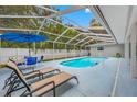Enjoy this lovely pool area, screened-in, with sun loungers and a backyard view at 1641 Jeffords St, Clearwater, FL 33756