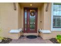 Inviting entryway with a decorative front door, brick pavers and stylish decor at 20025 Callisto Hill Pl, Tampa, FL 33647