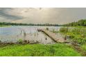 Scenic view of the lake with a wooden pier and lush green shoreline, offering a tranquil and natural setting at 15612 Howell Park Ln, Tampa, FL 33625