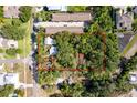 Aerial view of property showcasing lush, mature tree coverage in a secluded area at 260 Orange St, Palm Harbor, FL 34683