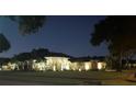 Exterior night view of a home with landscape lighting highlighting its architectural features at 2847 Mossy Timber Trl, Valrico, FL 33596