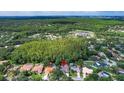Aerial view of the residential area showcasing the neighborhood's lush landscaping and community features at 6011 Pratt St, Tampa, FL 33647