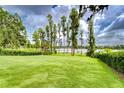 Expansive backyard features lush green grass and mature trees along the lake, offering a peaceful outdoor setting at 9827 Sorbonne Loop, Seffner, FL 33584