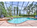 Screened-in pool and spa offer relaxation with beautiful lake views beyond the landscaped backyard at 9827 Sorbonne Loop, Seffner, FL 33584