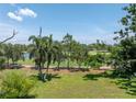 Expansive backyard featuring lush green grass and mature trees overlooking a pond and greenway at 167 Almedo Ne Way, St Petersburg, FL 33704