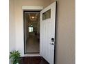 Bright entryway with white door, high ceilings, view into the living room, and neutral color scheme at 17304 Scuba Crest St, Wimauma, FL 33598