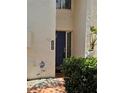 Close-up of the home's inviting entryway with a stylish blue door and manicured landscaping at 4304 Harbor House Dr, Tampa, FL 33615