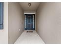 A modern front door with glass accents is set in a covered entryway at 5006 Jackel Chase Dr, Wimauma, FL 33598