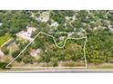 Aerial view of the property, highlighting the home's location within a lush, tree-filled landscape and outlined boundary at 16608 Livingston Ave, Lutz, FL 33559