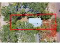 Aerial view of property boundaries surrounded by mature trees and landscaping at 317 19Th S Ave, St Petersburg, FL 33705