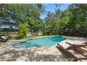 Backyard oasis features a large swimming pool with spa, lounge chairs, and mature tropical landscaping at 4616 S Matanzas Ave, Tampa, FL 33611