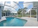 Relaxing screened-in pool with a jacuzzi, perfect for outdoor entertaining and enjoying the Florida lifestyle at 18712 Forest Glen Ct, Tampa, FL 33647