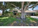 Charming home with lush landscaping, mature trees, and a well-maintained lawn at 2459 Parkstream Ave, Clearwater, FL 33759