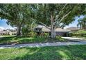Charming home with lush landscaping, mature trees, and a well-maintained lawn at 2459 Parkstream Ave, Clearwater, FL 33759