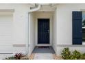 A welcoming front door with dark wood finish, set against a light exterior and colorful landscaping at 10452 Elgin Blvd, Spring Hill, FL 34608