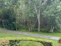 Backyard view with lush greenery and walking path at 1258 Pine Ridge W Cir # F1, Tarpon Springs, FL 34688