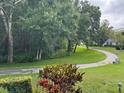 Green backyard with trees, a curved path, and a park bench at 1258 Pine Ridge W Cir # F1, Tarpon Springs, FL 34688